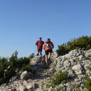 600 participants a la 21a edici de la Fredes-Pals