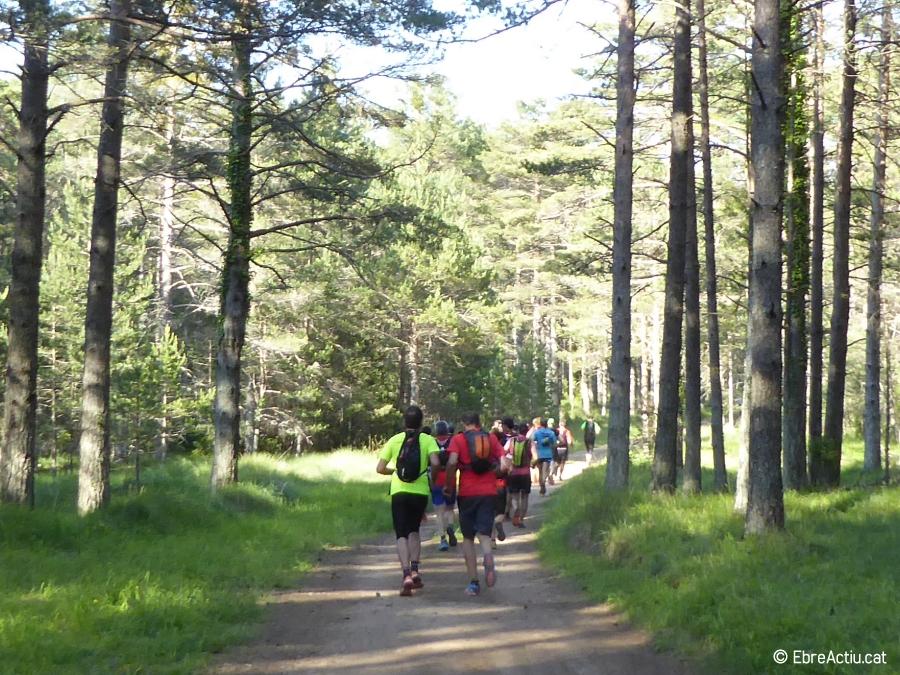 600 participants a la 21a edici� de la Fredes-Pa�ls | EbreActiu.cat, revista digital d&rsquo;oci actiu | Terres de l&rsquo;Ebre ...
