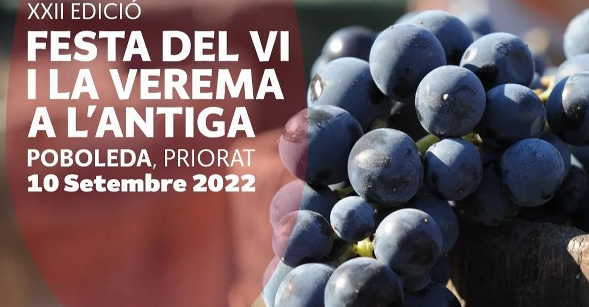 XXII Festa del Vi i la Verema a l�Antiga