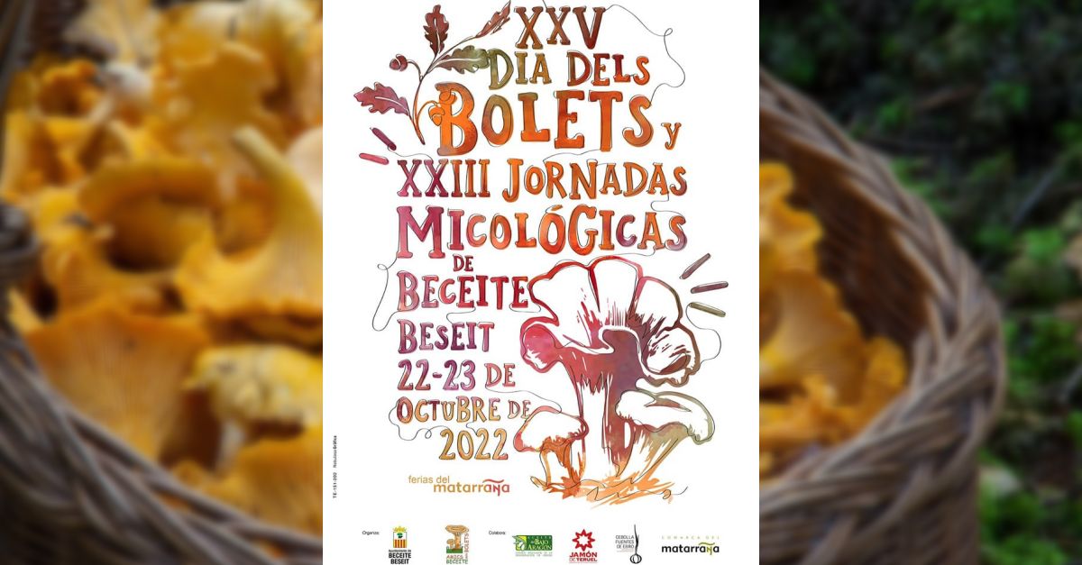 XXV D�a de las Setas y XXIII Jornadas micol�gicas