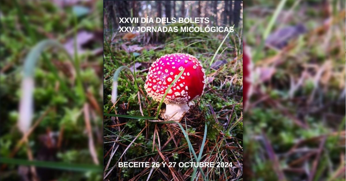 XXVII Dia dels Bolets y XXV Jornadas Micol�gicas de Beceite