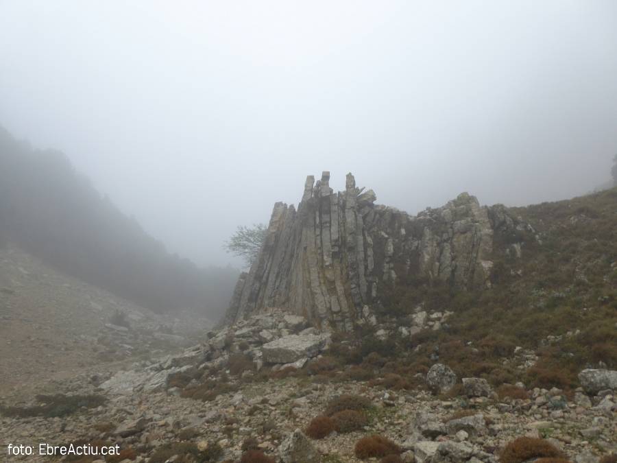 La 28 edicin de la Marxa del Port rene 280 excursionistas | EbreActiu.cat, revista digital de ocio activo | Terres de l’Ebre...