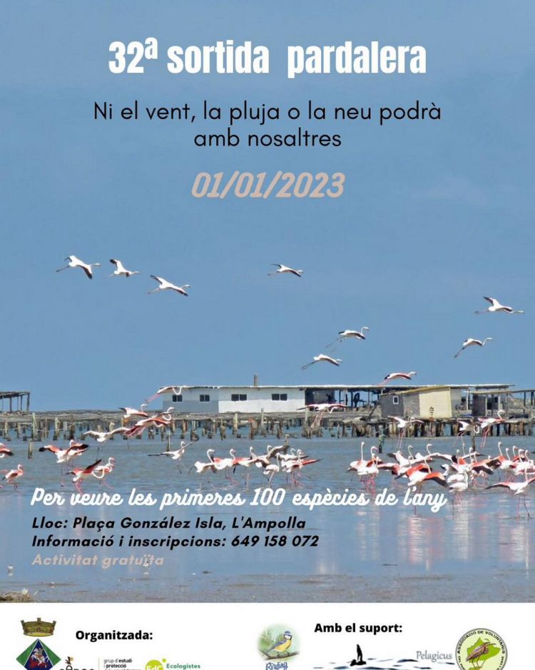 32a Sortida Pardalera 32a Sortida Pardalera