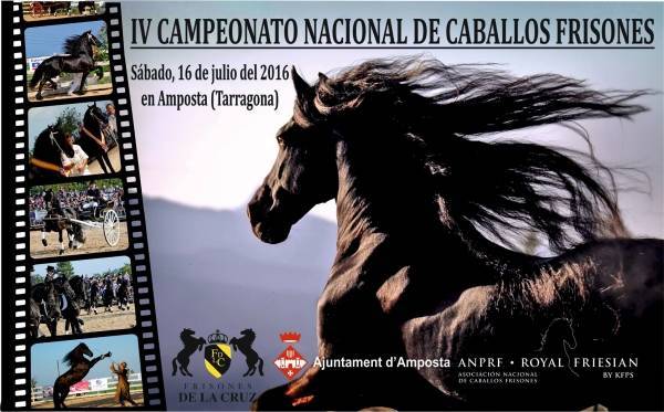 4t Campionat nacional de cavalls frisons 4t Campionat nacional de cavalls frisons