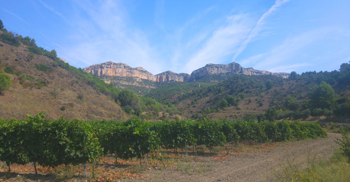 La quarta edici del Dia del Paisatge del Priorat se celebrar el 30 d’octubre a la Cartoixa d’Escaladei | EbreActiu.cat, revista digital d’oci actiu | Terres de l’Ebre ...