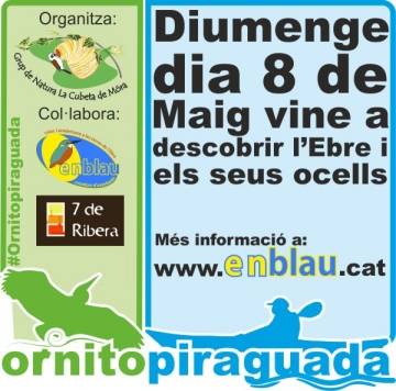 4a ornitopiraguada