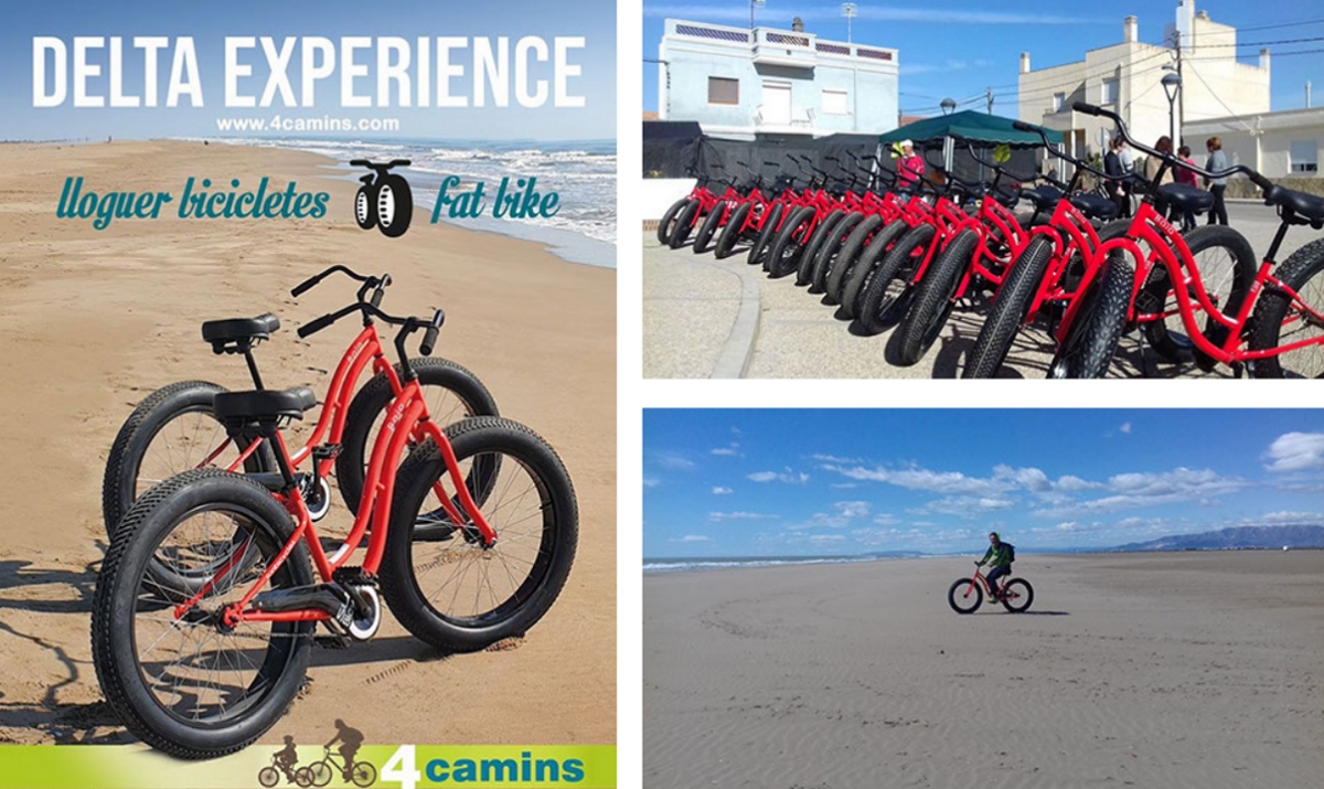 4 CAMINS. Lloguer de bicicletes i serveis turístics. Els Muntells | EbreActiu.cat, revista digital d’oci actiu | Terres de l’Ebre ... 4 CAMINS. Lloguer de bicicletes i serveis turístics. Els Muntells | EbreActiu.cat, revista digital d’oci actiu | Terres de l’Ebre ...