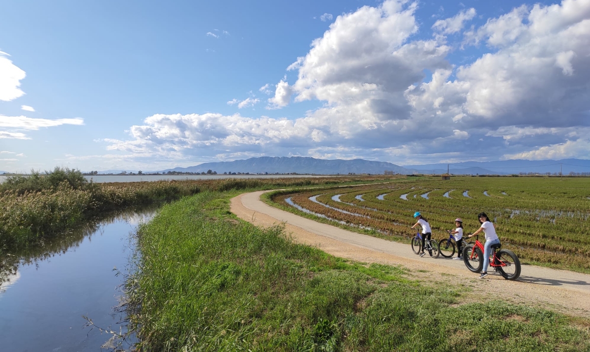 4 CAMINS. Lloguer de bicicletes i serveis tur�stics. Els Muntells | EbreActiu.cat, revista digital d&rsquo;oci actiu | Terres de l&rsquo;Ebre ...