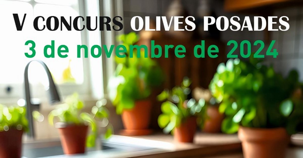 V Concurs d�olives posades a Campred�