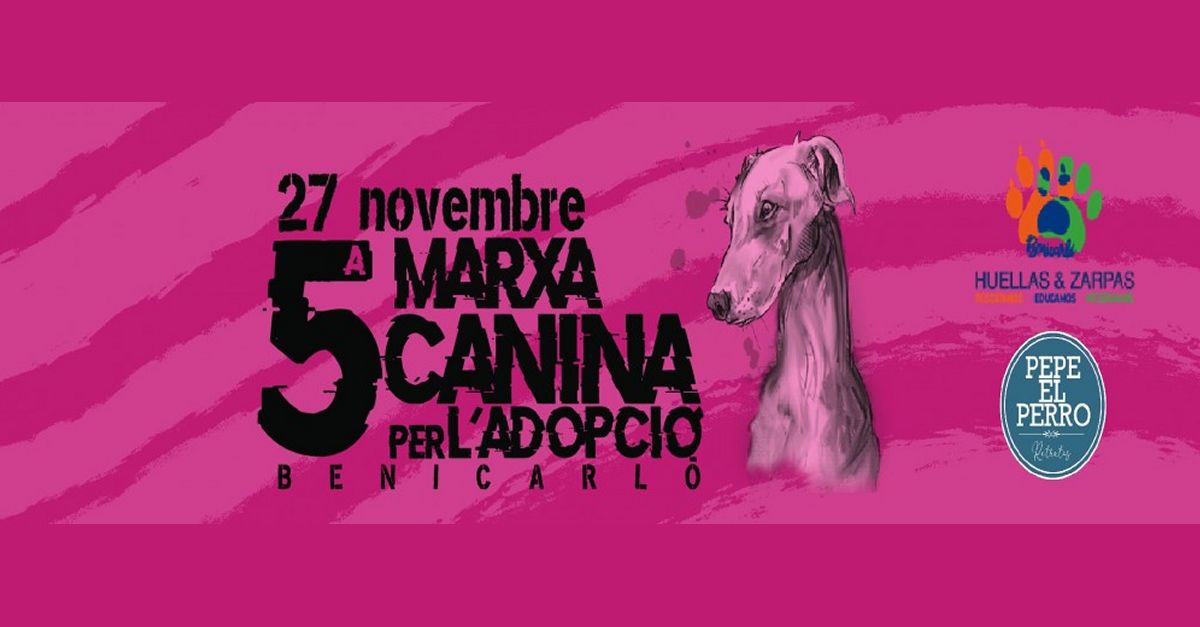 5a Marcha Canina de la Adopci�n