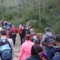 �lbum: 5a marxa La Joca (els Ports, 6/4/2014)