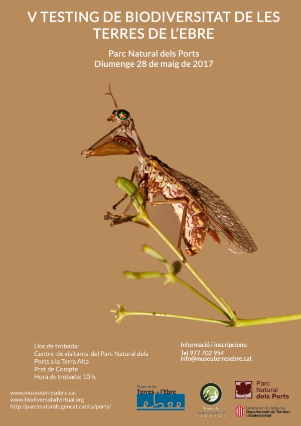 5� Testing de Biodiversitat de les Terres de l�Ebre