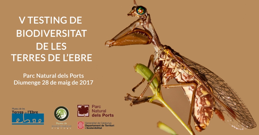 5� Testing de Biodiversitat de les Terres de l�Ebre