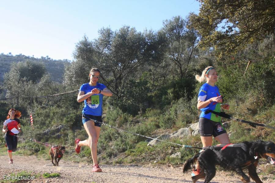 Moliner i Willems s&rsquo;imposen al 6� Canicr�s d&rsquo;Amposta | EbreActiu.cat, revista digital d&rsquo;oci actiu | Terres de l&rsquo;Ebre ...