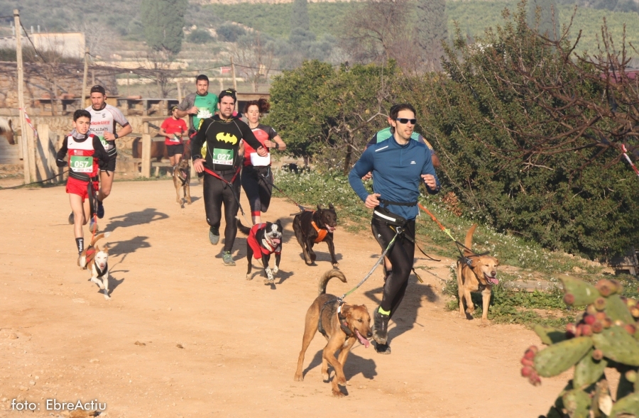 Norbert Llobera amb Max i Clara Bosch amb Pruna guanyen el 7� Canicr�s d&rsquo;Amposta | EbreActiu.cat, revista digital d&rsquo;oci actiu | Terres de l&rsquo;Ebre ...