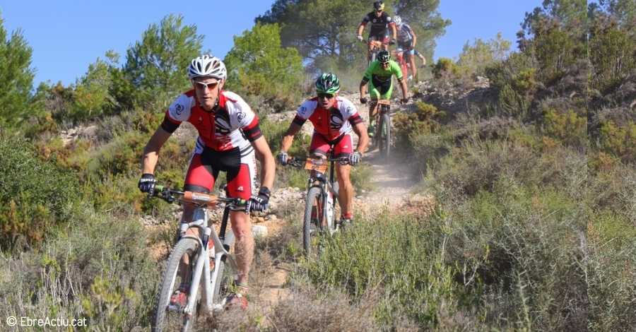 Cursa de BTT entre aubergens a Benissanet