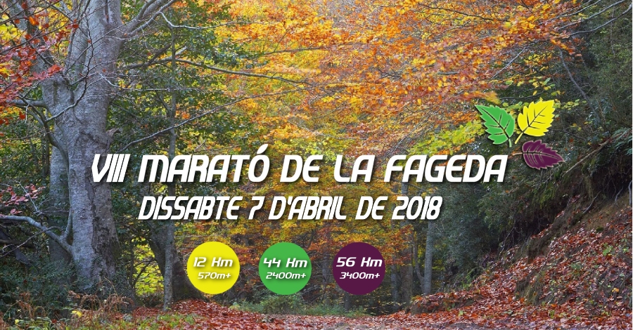8a Marató La Fageda 8a Marató La Fageda