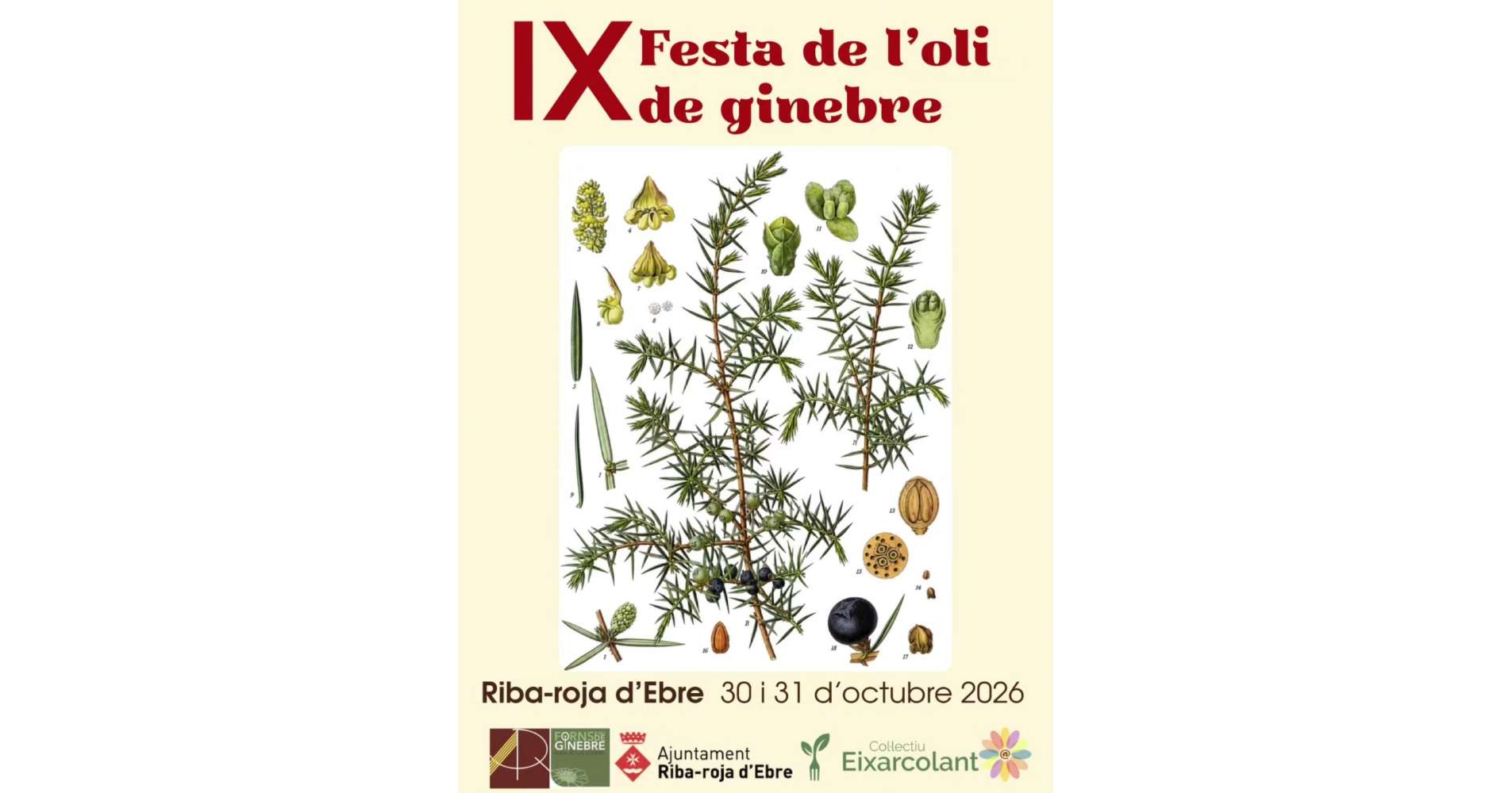 IX Festa de l�oli de ginebre