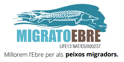 Xerrada "MigratoEbre: Recuperaci� de peixos migradors i millora de la gesti� al tram final del Riu Ebre"