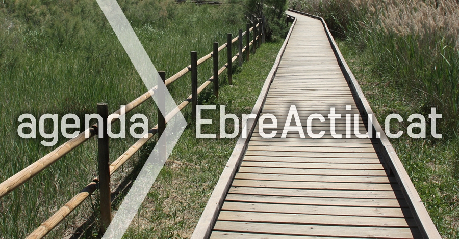 �Toca-toca� en el centro Ictiol�gico del PN Delta de l�Ebre