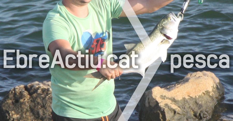 9� Concurs Obert Pesca Fluvial Festes Amposta. 5� Memorial �ngel Conde Calvet