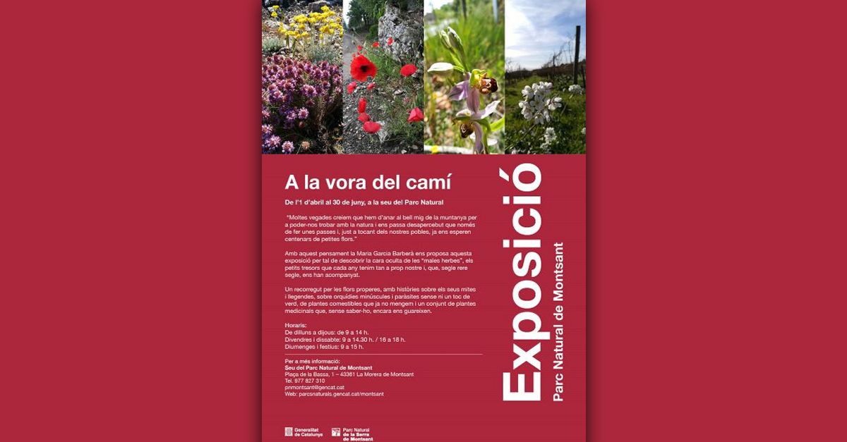 Exposici� A la vora del cam�