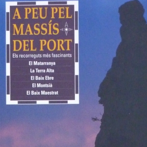 A peu pel masss del Port de Vicent Pellicer