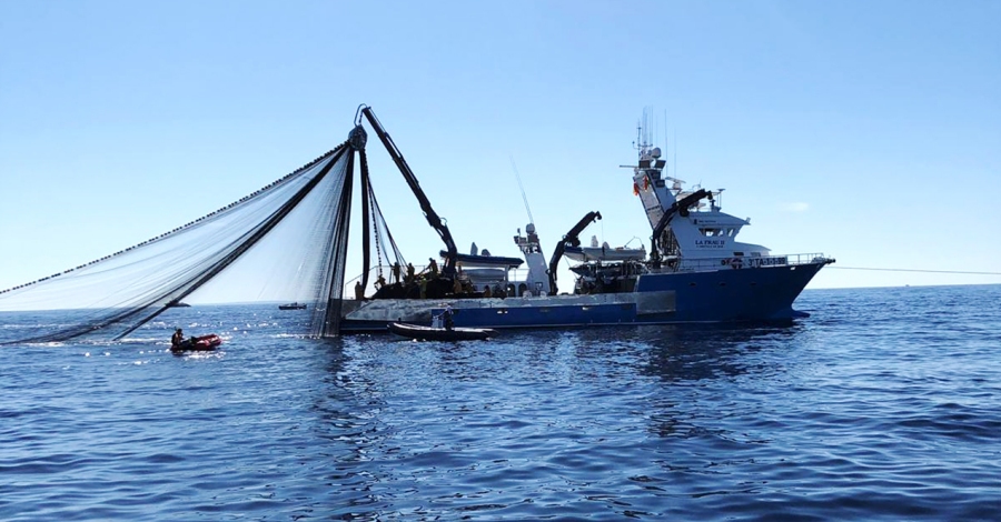 Les quatre tonyineres caleres completen la quota en set dies