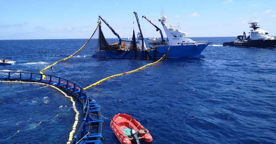 Balfeg finalitza la campanya de pesca de tonyina roja en menys de 4 dies