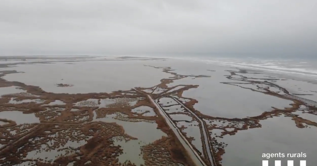 Un any després del Gloria: s’accelera l’agonia del delta de l’Ebre davant la passivitat de les administracions | EbreActiu.cat, revista digital d’oci actiu | Terres de l’Ebre ... Un any després del Gloria: s’accelera l’agonia del delta de l’Ebre davant la passivitat de les administracions | EbreActiu.cat, revista digital d’oci actiu | Terres de l’Ebre ...