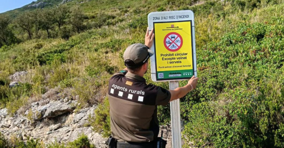 Tallat laccs als Ports, Serra de Card-Boix, muntanyes de Tivissa-Vandells Serra de Montsant del 16 al 19 dagost per alt risc dincendi