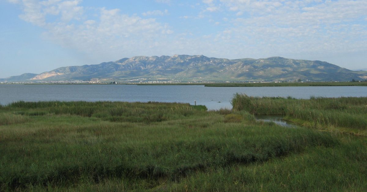 Acci Climtica reforar les guardes de protecci de les basses del delta de lEbre a principis dany