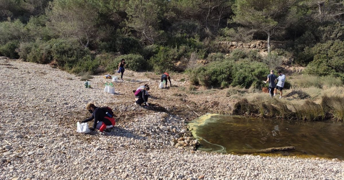 Jornada ambiental i de neteja a la platja de Santes Creus