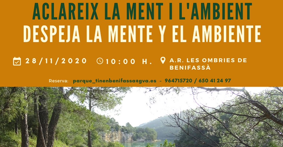 Aclareix la ment i l�ambient