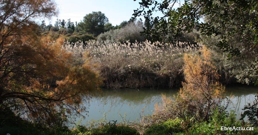 L’aiguamoll de Sòl de Riu formarà part de la xarxa de custòdia del territori | EbreActiu.cat, revista digital d’oci actiu | Terres de l’Ebre ... L’aiguamoll de Sòl de Riu formarà part de la xarxa de custòdia del territori | EbreActiu.cat, revista digital d’oci actiu | Terres de l’Ebre ...
