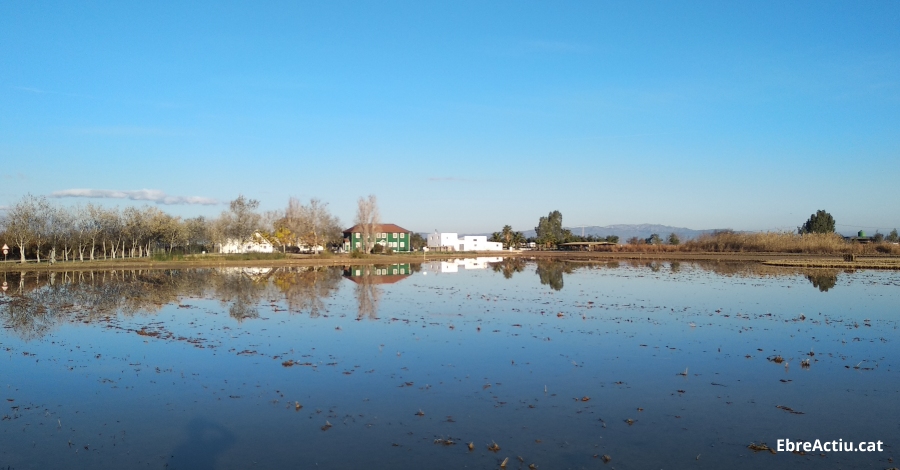 Activitats per commemorar el Dia Mundial de les Zones Humides | EbreActiu.cat, revista digital d’oci actiu | Terres de l’Ebre ... Activitats per commemorar el Dia Mundial de les Zones Humides | EbreActiu.cat, revista digital d’oci actiu | Terres de l’Ebre ...