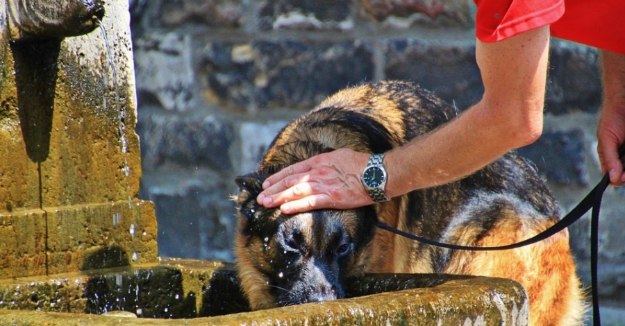 Alerta del Pla de Protecci Civil de Catalunya per onada de calor generalitzada | EbreActiu.cat, revista digital d’oci actiu | Terres de l’Ebre ...