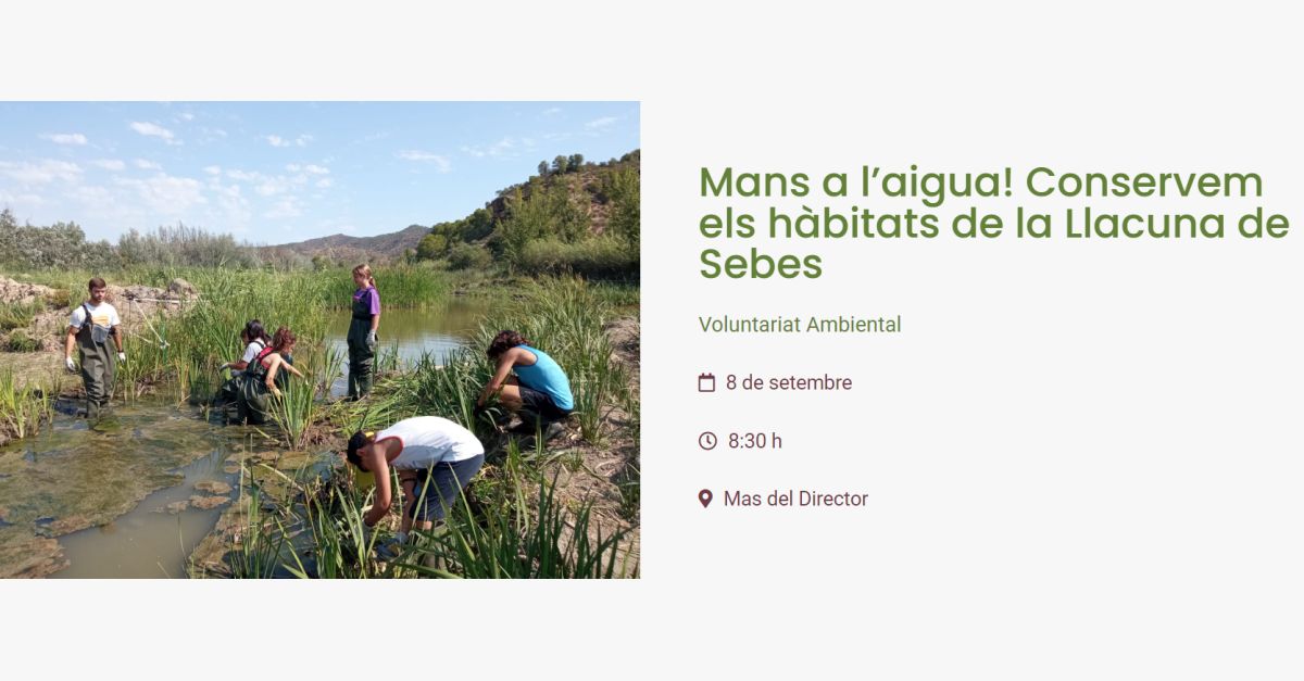 Mans a l’aigua! Conservem els hàbitats de la Llacuna de Sebes Mans a l’aigua! Conservem els hàbitats de la Llacuna de Sebes