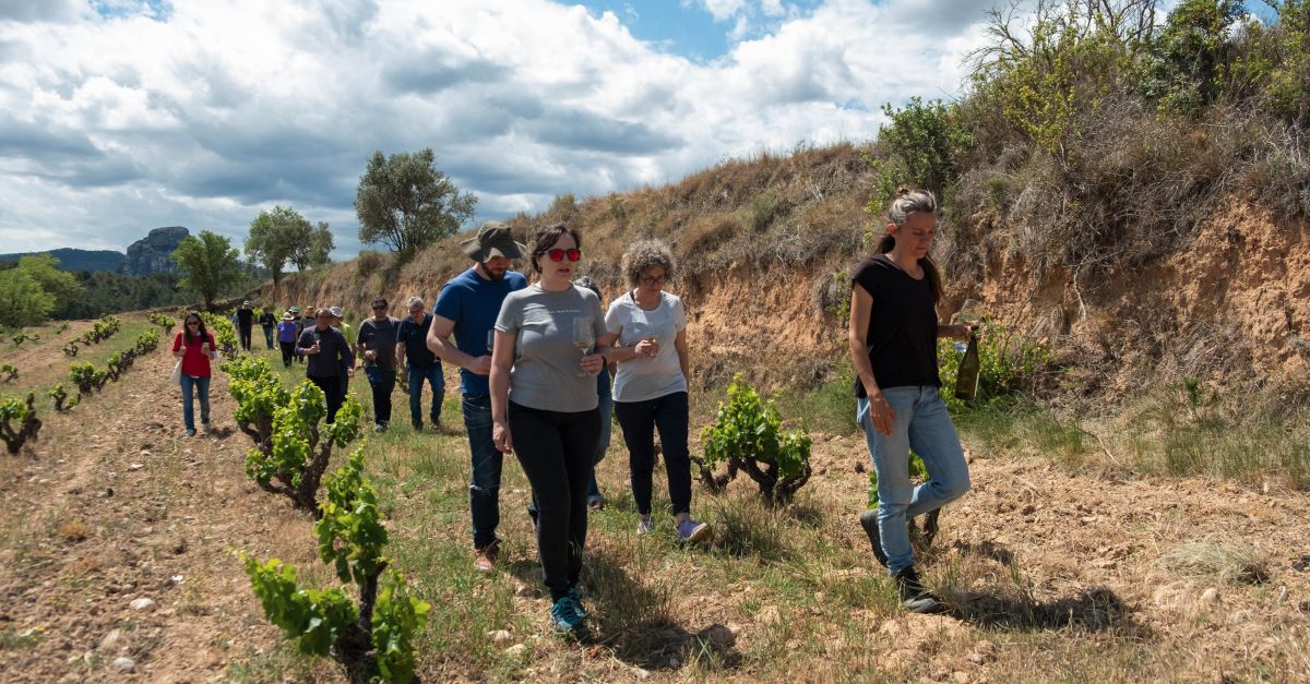 Bot tancar l’estiu amb una nova edici del Cicle Estacions | EbreActiu.cat, revista digital d’oci actiu | Terres de l’Ebre ...