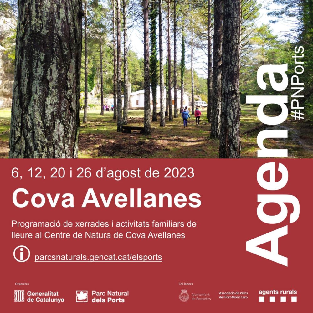 Xerrada i itinerari guiat: Preservem la flora dels Ports Xerrada i itinerari guiat: Preservem la flora dels Ports