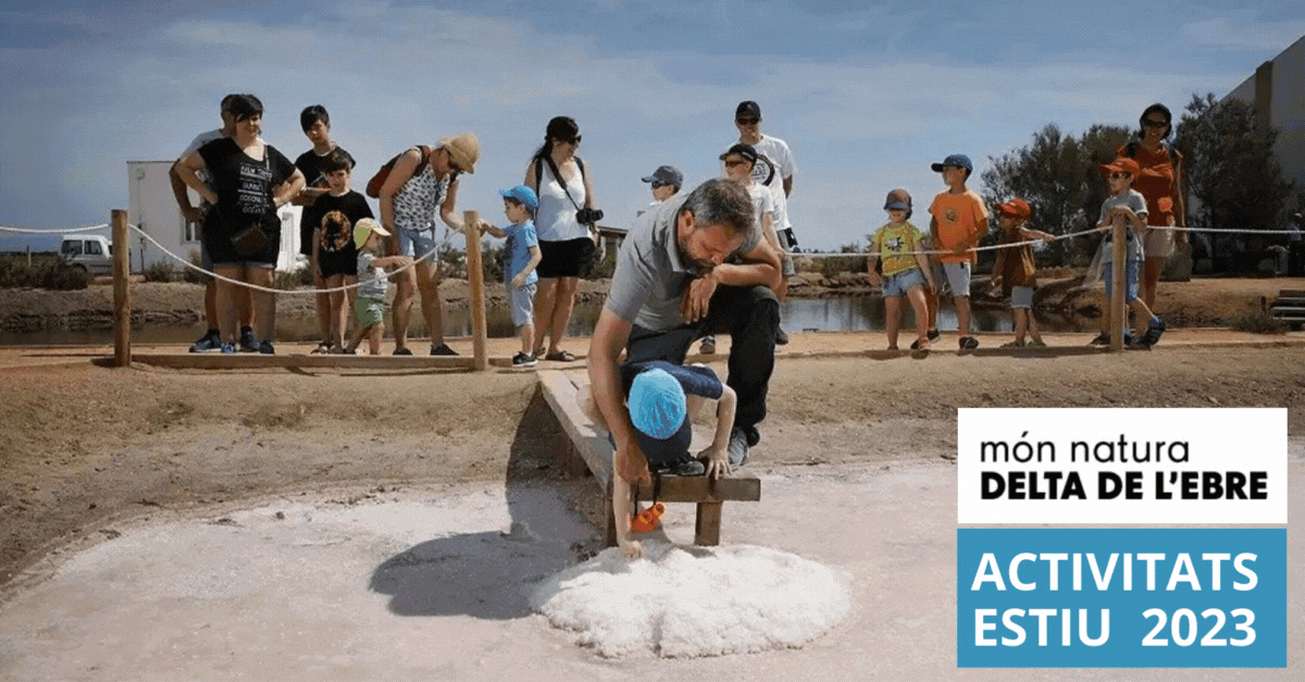 Activitats estiu M�nNatura Delta de l�Ebre