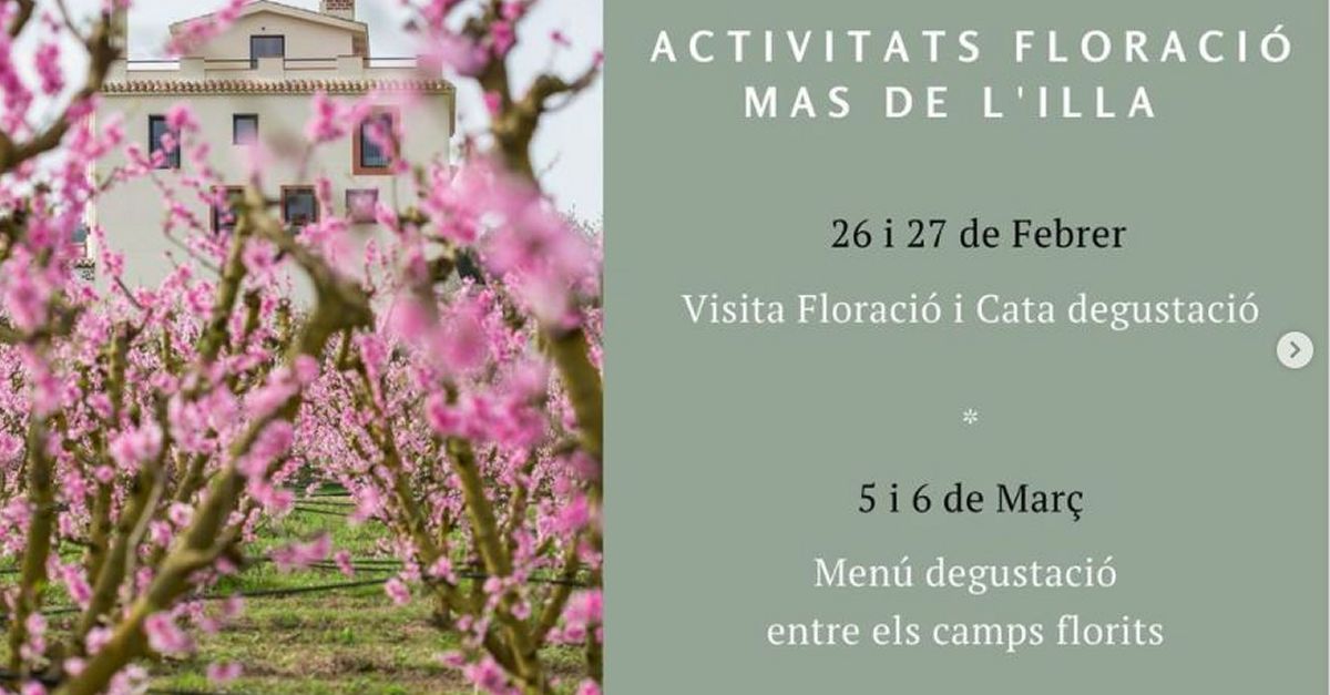 Visita a la floració del Mas de l’Illa i tast degustació Visita a la floració del Mas de l’Illa i tast degustació