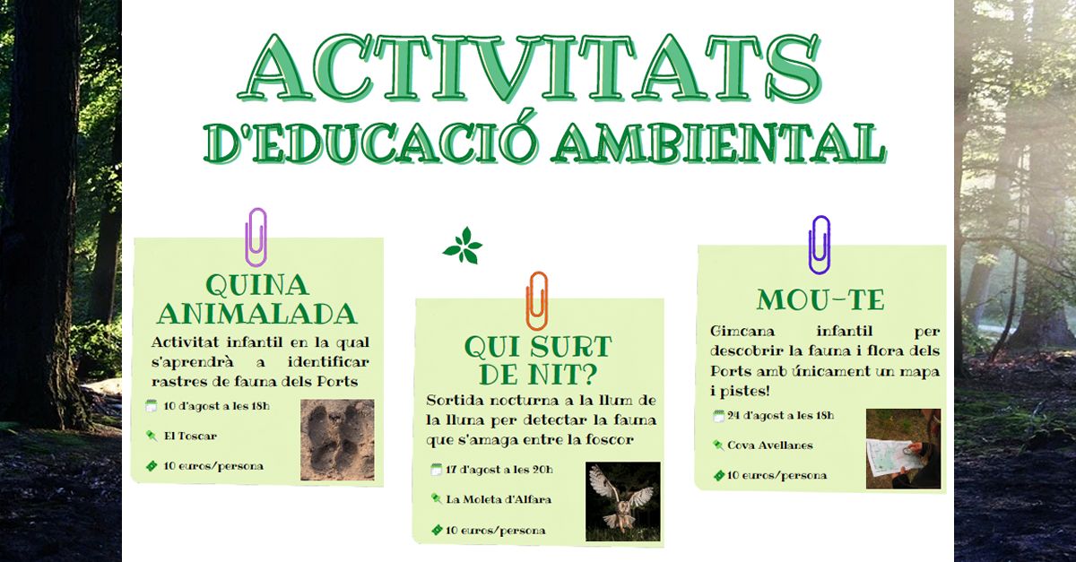 Activitat d�educaci� ambiental: Quina animalada (taller)