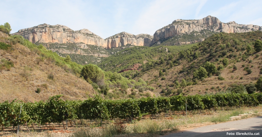 Itineraris naturalistes i tallers de descoberta aquesta primavera i estiu al Parc Natural de Montsant
