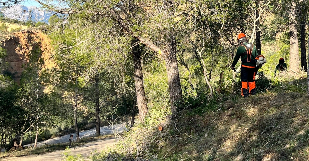 Treballs forestals a Tivenys amb noves franges de seguretat als camins