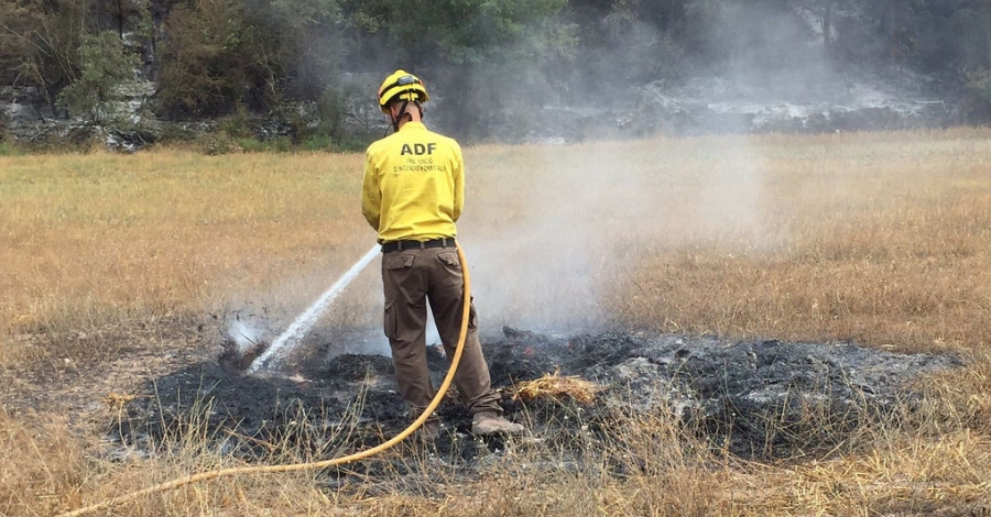 Creu de Sant Jordi a las Agrupaciones de Defensa Forestal de Catalunya | EbreActiu.cat, revista digital de ocio activo | Terres de l&rsquo;Ebre...