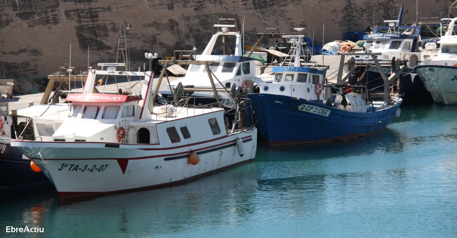 La crisi del peix blau s’agreuja per la desaparició de la sardina i el seitó | EbreActiu.cat, revista digital d’oci actiu | Terres de l’Ebre ... La crisi del peix blau s’agreuja per la desaparició de la sardina i el seitó | EbreActiu.cat, revista digital d’oci actiu | Terres de l’Ebre ...