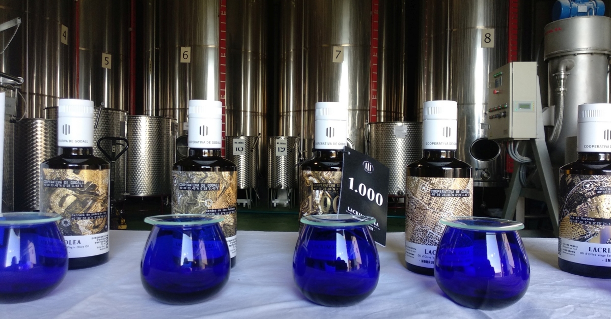 Agr�cola de Godall - Olis Premium �Lacrima Olea� | EbreActiu.cat, revista digital d&rsquo;oci actiu | Terres de l&rsquo;Ebre ...