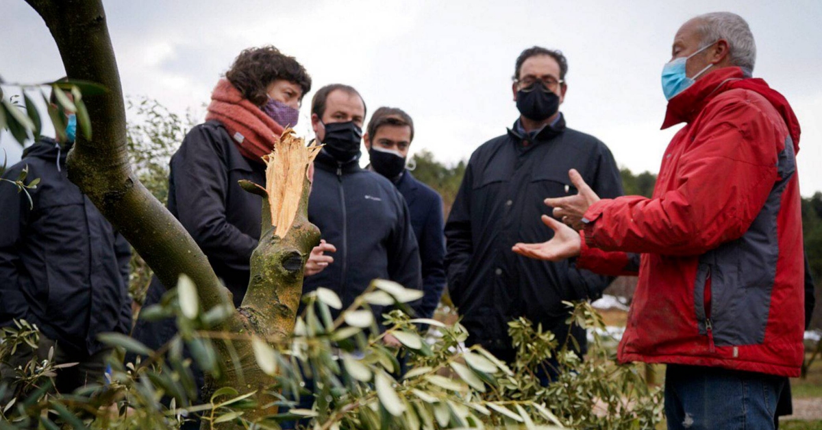 Agricultura es compromet a buscar solucions i mesures estructurals per fer front a episodis climtics extrems