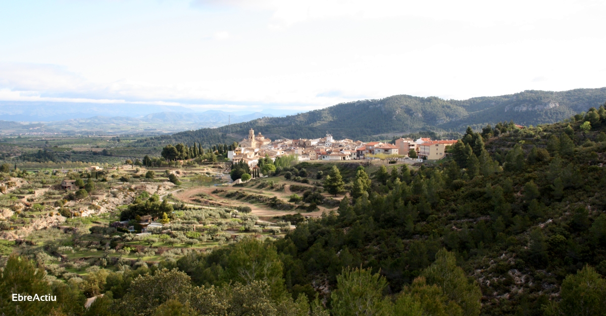 Agricultura inicia treballs de prevenci d’incendis a la zona de Tivissa, castigada histricament pel foc